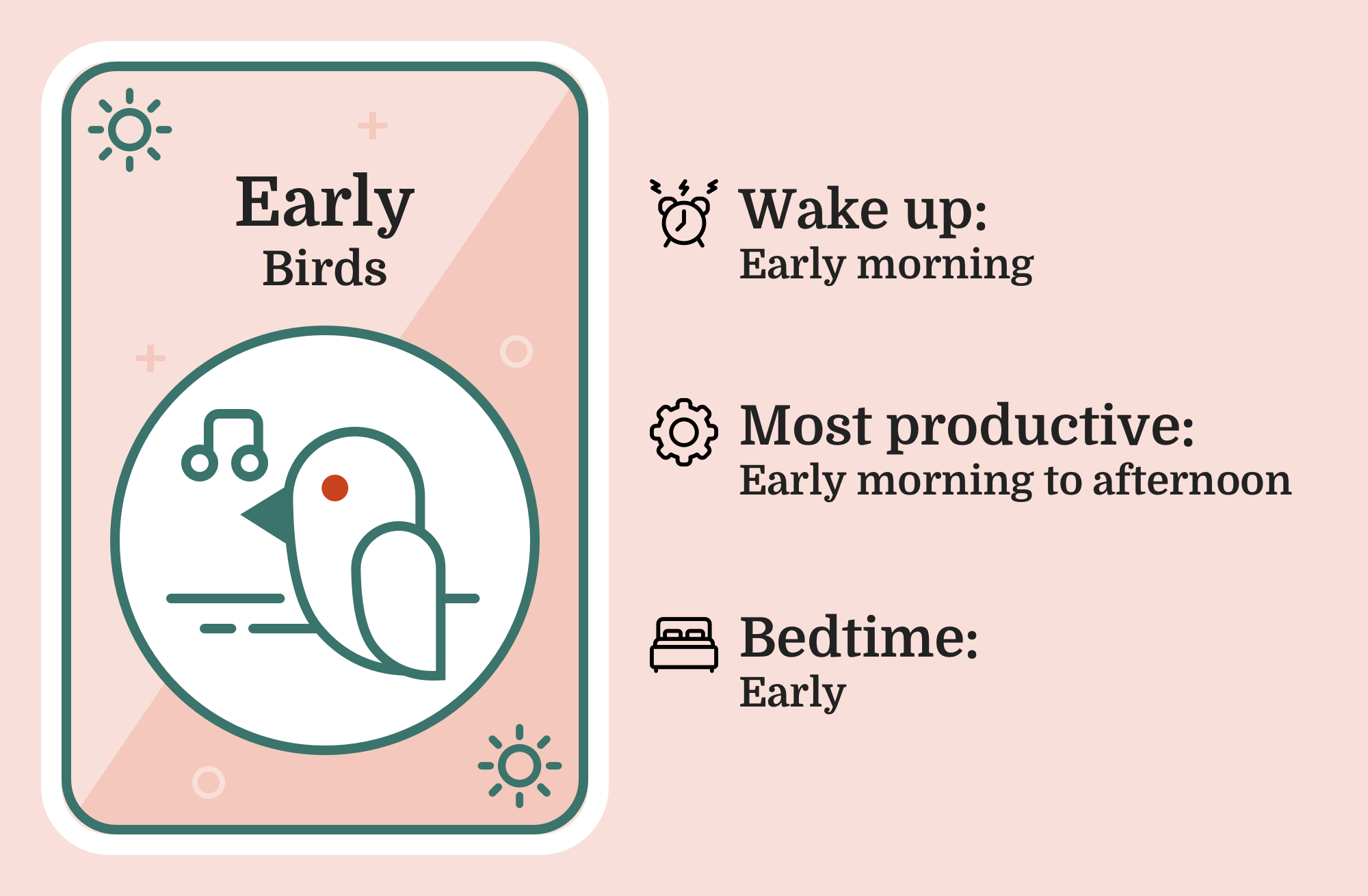 Image of a bird with the caption 'Early Bird'