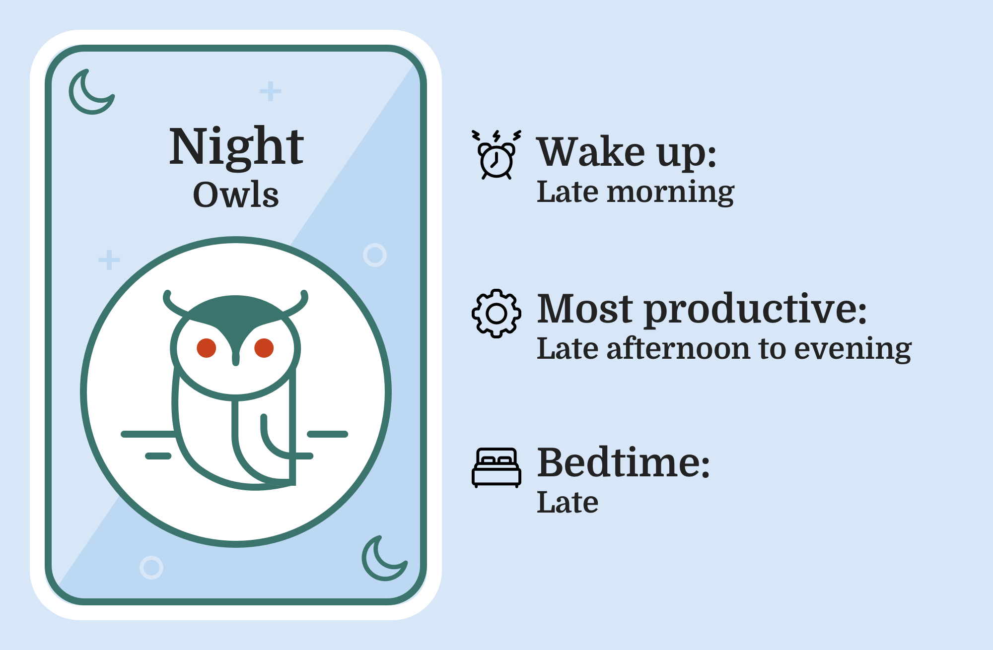 Image of an owl with the caption 'Night Owl'
