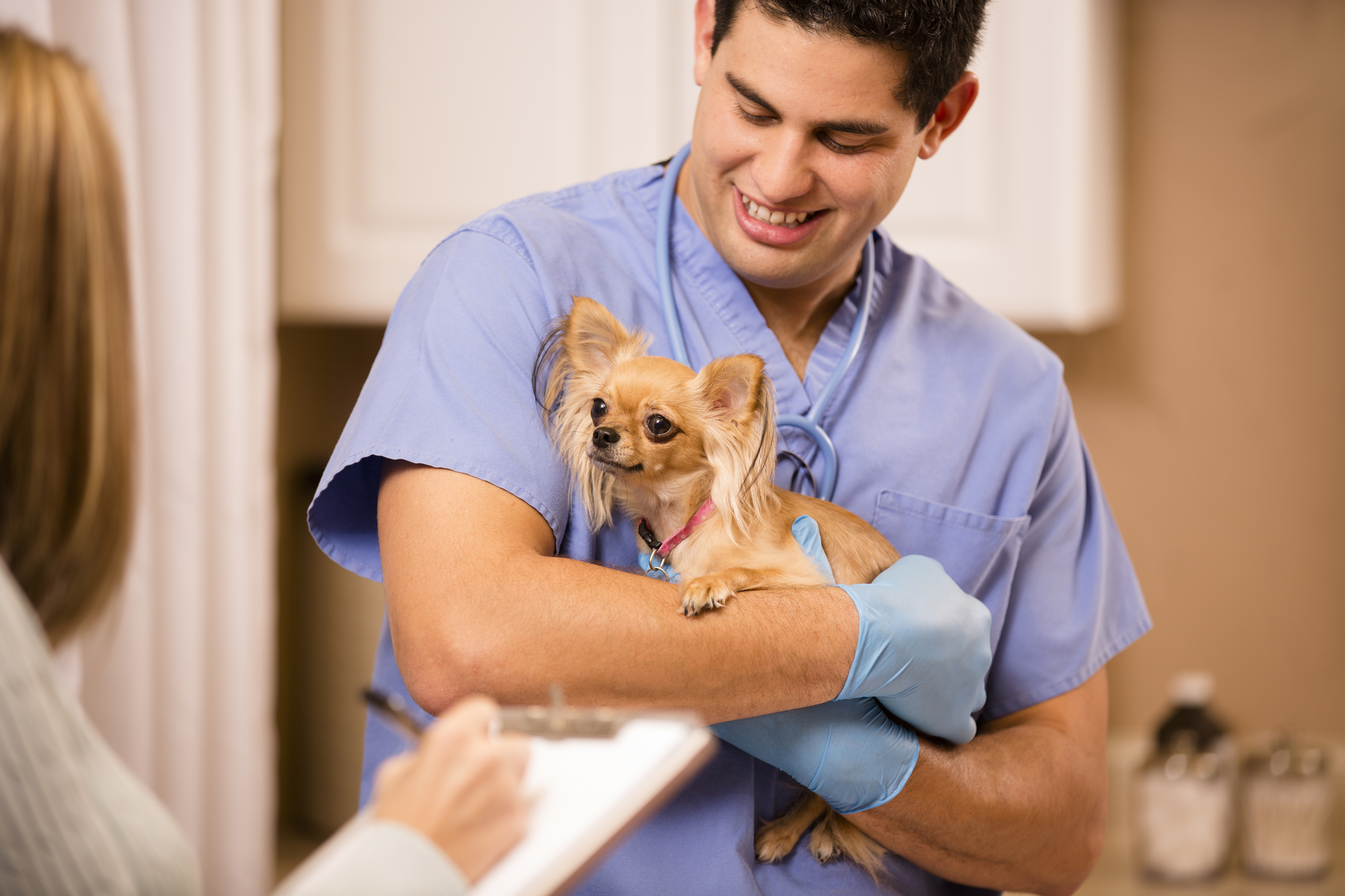 How to Become a Vet Tech | BestColleges