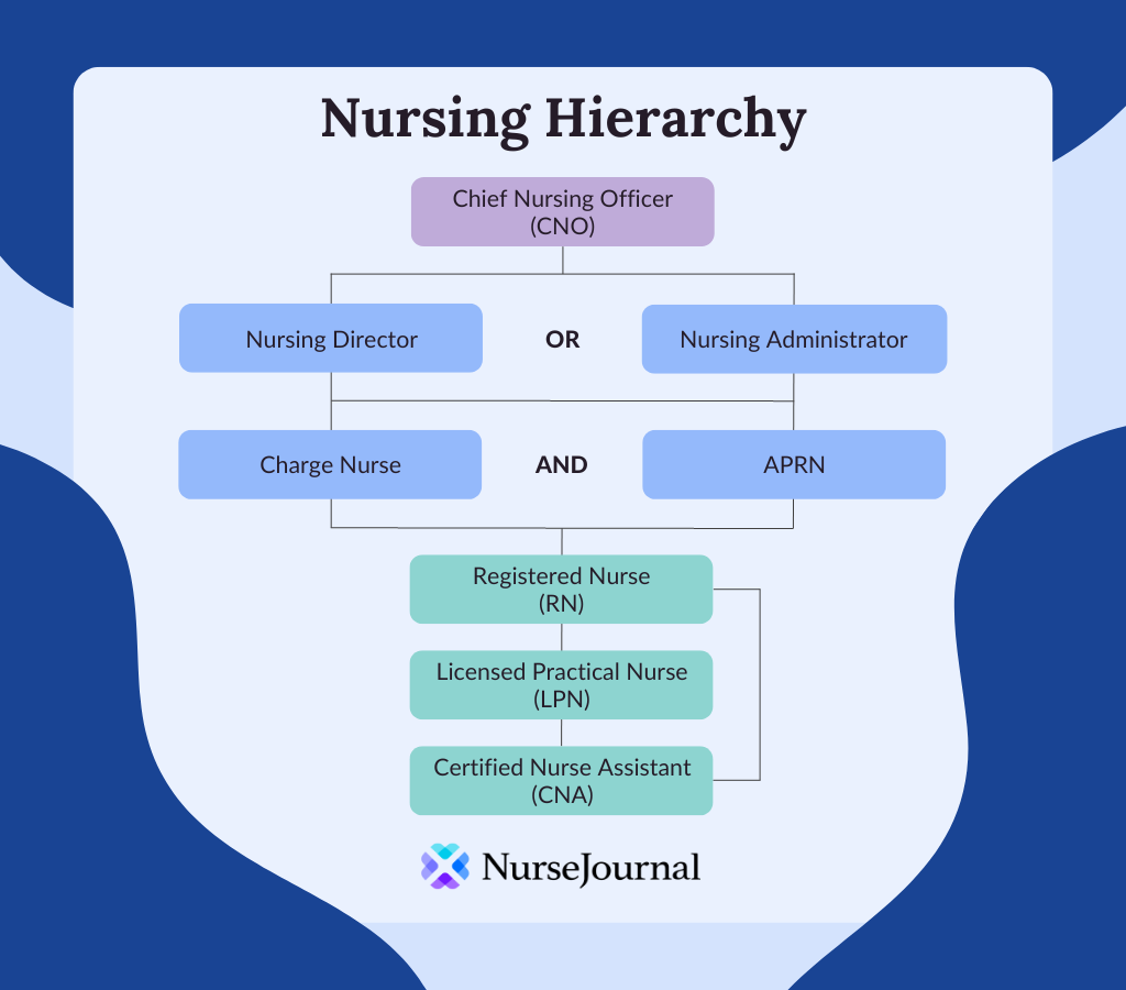 A flow chart of the hierarchy of nursing roles. The Chief Nursing Officer (CNO) is on their own row at the top of the hierarchy with a Nursing Director or Nursing Administrator on the same line below the CNO. Charge Nurse and APRN are on the next row below, showing they can potentially respond to any of the roles above. Below, there a direct command line with Registered Nurse (RN), Licensed Practical Nurse (LPN) and Certified Nurse Assistant (CNA).