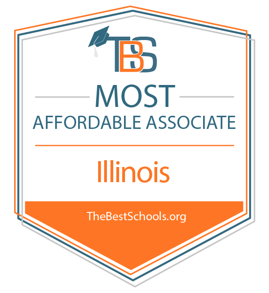 The Best Online Colleges In Illinois Thebestschools Org