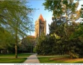 Phd thesis university of illinois at urbana champaign