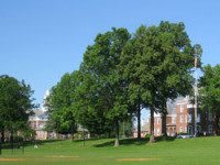 Choate Rosemary Hall 