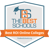 Online Colleges with the Best Return on Investment