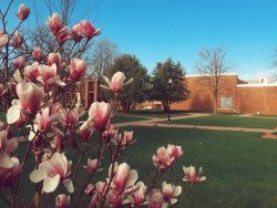 Ellsworth Community College