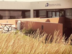 Northeast Iowa Community College