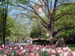 Ohio State University