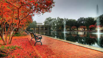 University of South Carolina-Columbia, Palmetto College, Beaufort, South Carolina