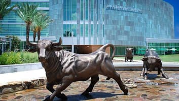 University of South Florida, Tampa, Florida