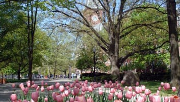 Ohio State University campus.