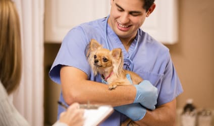 How to Become a Vet Tech | BestColleges
