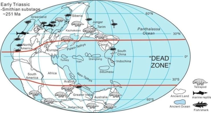 The End-Permian Mass Extinction