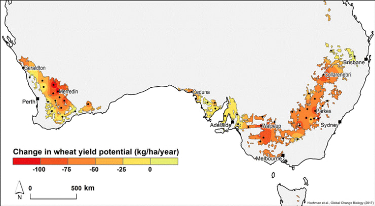 Change in Wheat Yield Potential
