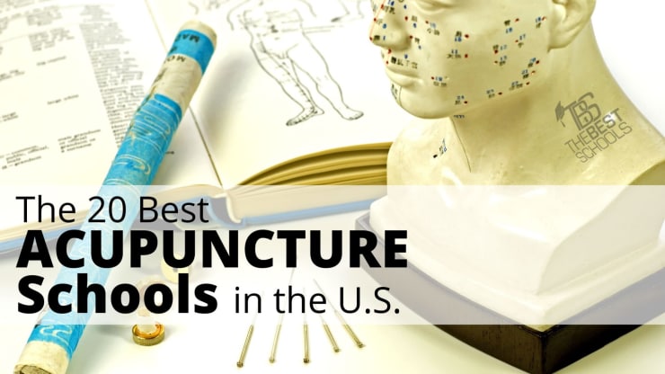 The 20 Best Acupuncture Schools In The Us Thebestschoolsorg - 