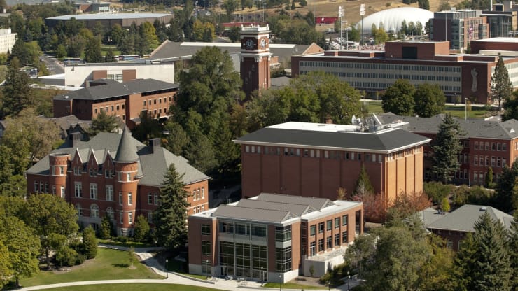 Washington State University Global Campus Thebestschools Org