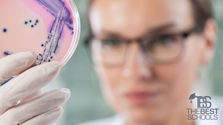 Hero image for What Can You Do With a Biology Degree?: White, female biologist holding up a labroratory culture container; image cropped to just her head and hand