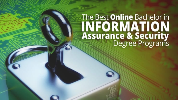 The Best Online Bachelor in Information Assurance and Security Degree Programs Hero Image: Computer circuitry and silver padlock