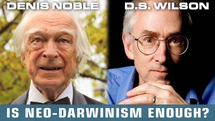 Denis Noble and David Sloan Wilson, dialogue on neo-Darwinian evolution