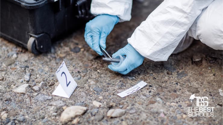 Best Online Bachelor’s in Crime Scene Investigation Programs