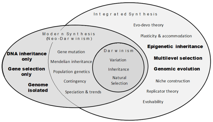 Integrated Synthesis and neo-Darwinism