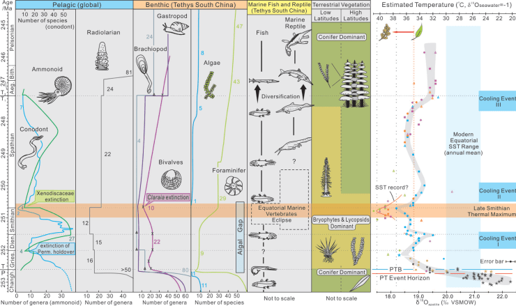 Decline of Ocean Diversity
