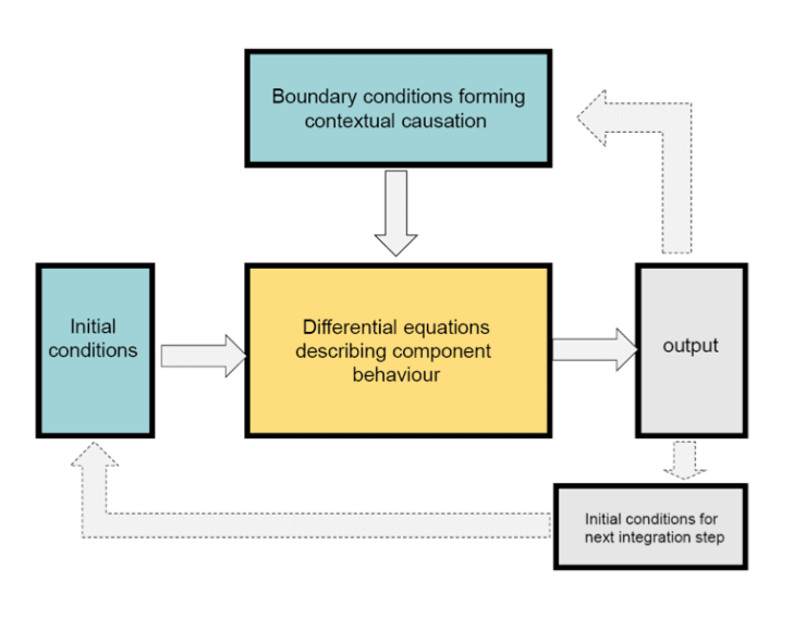Differential Equations as Models of Biological Processes, biological system model, boundary conditions