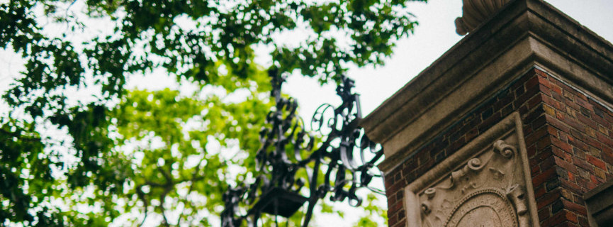 A History of the Ivy League