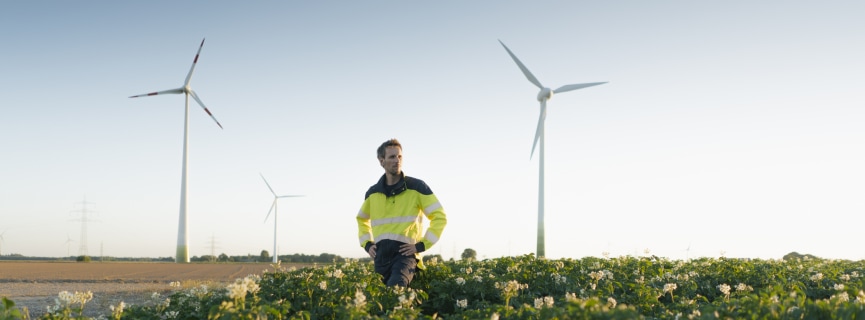 How to Start a Career in Sustainability