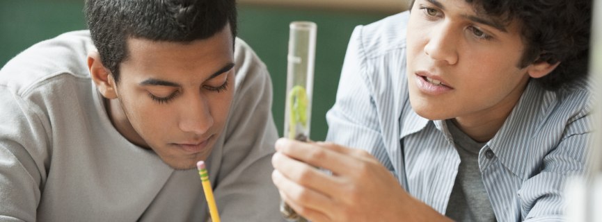 Which AP Classes Should You Take?