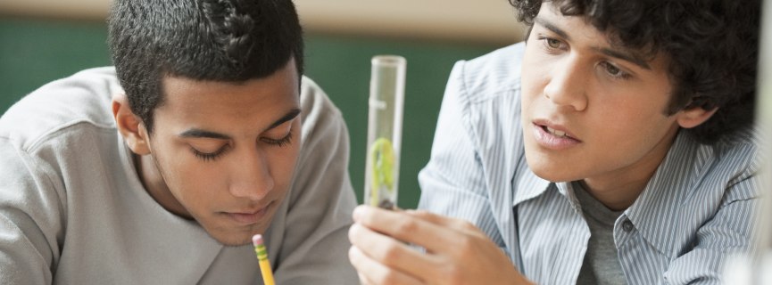 Which AP Classes Should You Take?