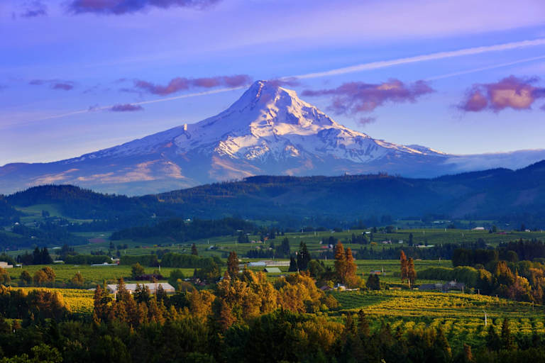 Best Online Colleges and Universities in Oregon