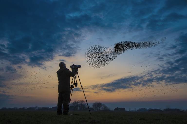 Earning an Online Photography Bachelors Degree