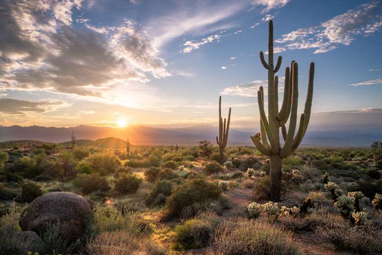 Best Online Colleges in Arizona