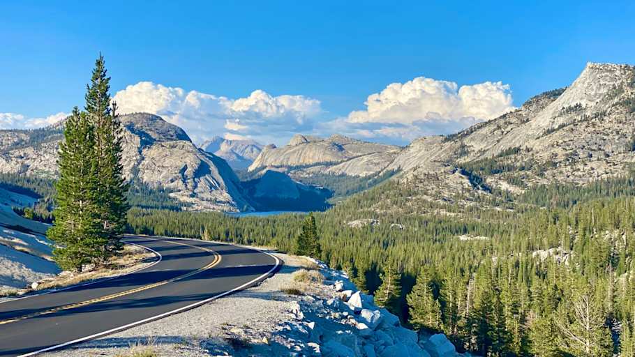 Best Nurse Practitioner Programs in California
