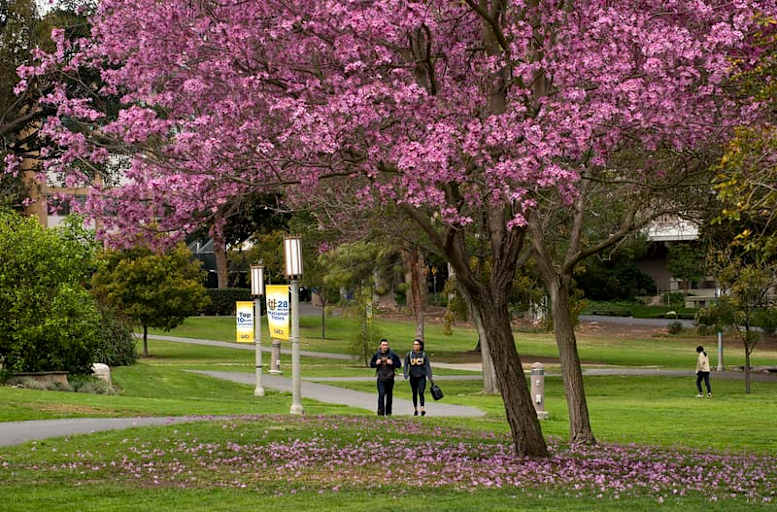 UC Irvine Humanities and Law Schools to Offer 6-Year Bachelor’s, Law Degree Program