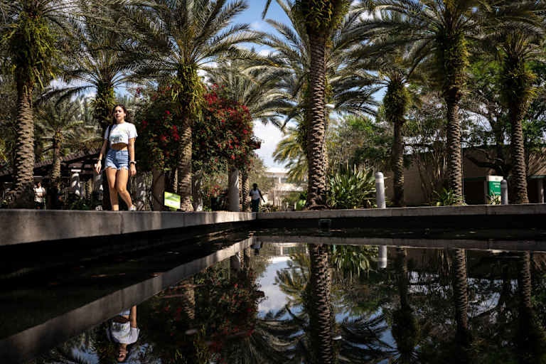 University of South Florida Announces Plans for AI, Cybersecurity College