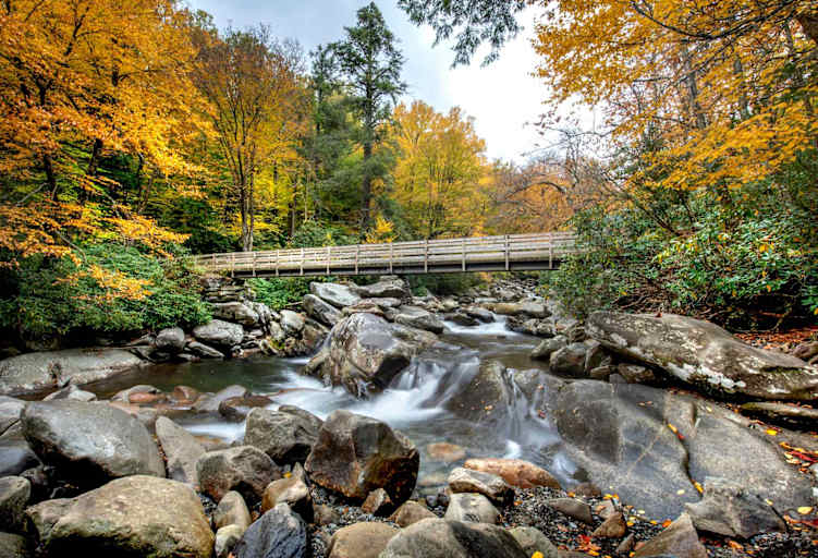 Counseling License Requirements in Tennessee