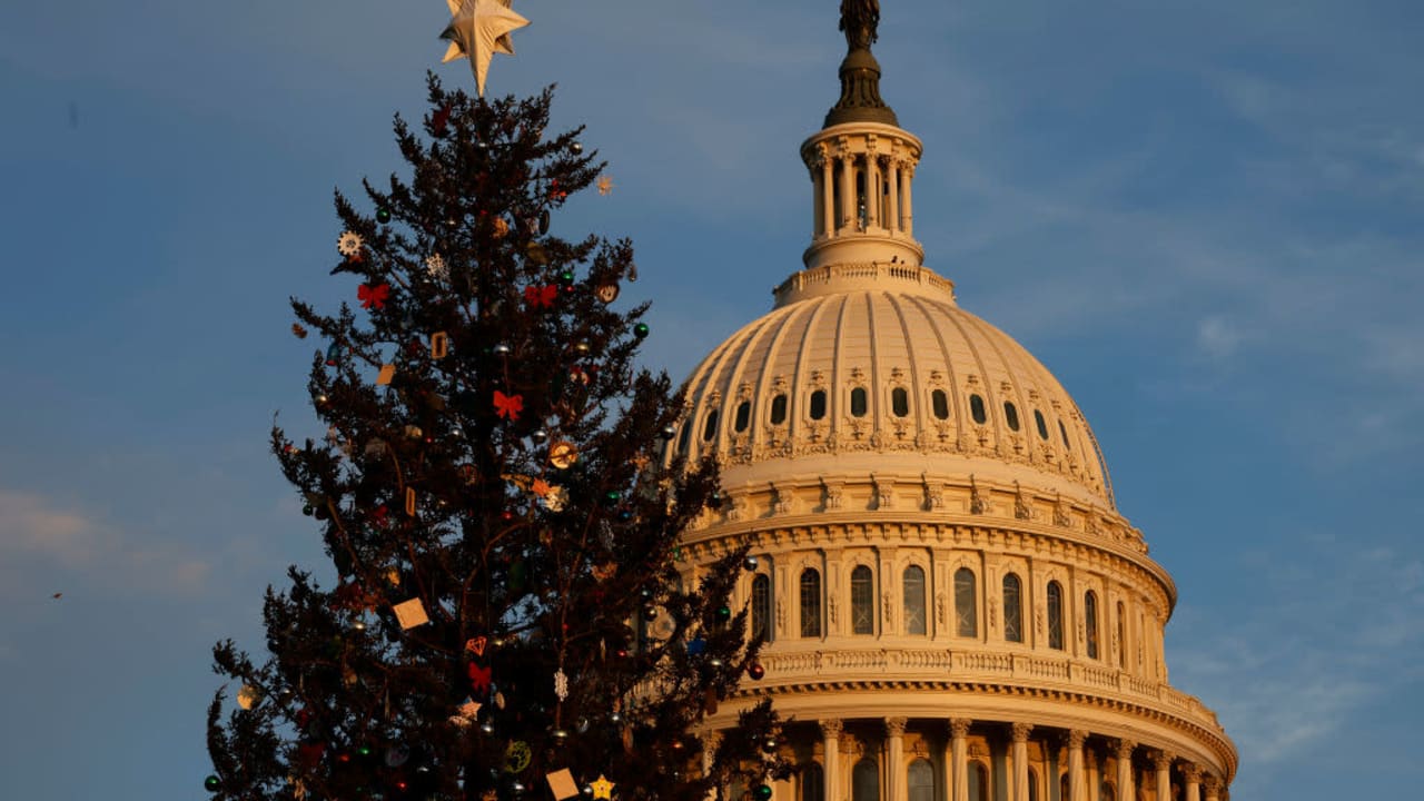 WASHINGTON, DC - NOVEMBER 29: U.S. Capitol Christmas Tree stands on the West Lawn ahead of its lighting ceremony on November 29, 2022 in Washington, DC. The 79-foot-tall red spruce, nickname "Ruby," was cut from the Pisgah National Forest near Lake Toxaway, North Carolina, and is decorated with 12,000 ornaments from 125 communities in 13 different states across the country. (Photo by Chip Somodevilla/Getty Images)