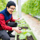 Student holding a digital tablet checks on plants in a greenhouse.
