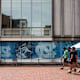 Students walk through their college campus talking.