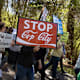 Environmental Activists Reoccupy Atlanta Forest