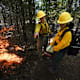 Students with the AAMU FireDawgs program participate in a controlled burn.