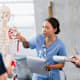Medical students talking about skeletal system