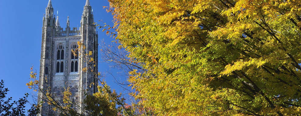 "Princeton, New Jersey, USA - November 5, 2011. Tower of Madison Hall in Princeton University. Princeton University is located in the college town of Princeton in New Jersey, USA. It is one of the top ranking ivy league universities in the United States, offering undergraduate and graduate degrees in various majors."
