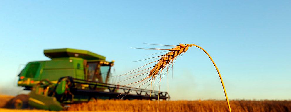 A John Deere combine harvests wheat near McPherson, Kansas, U.S., on Tuesday, June 30, 2009. Wheat prices lost 36 percent in the past year as global output reached a record 687 million metric tons in 2008-09, raising year-end stockpiles for the first time in four years. Photographer: Larry W. Smith/Bloomberg via Getty Images News
