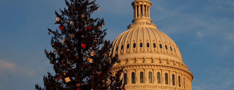WASHINGTON, DC - NOVEMBER 29: U.S. Capitol Christmas Tree stands on the West Lawn ahead of its lighting ceremony on November 29, 2022 in Washington, DC. The 79-foot-tall red spruce, nickname "Ruby," was cut from the Pisgah National Forest near Lake Toxaway, North Carolina, and is decorated with 12,000 ornaments from 125 communities in 13 different states across the country. (Photo by Chip Somodevilla/Getty Images)