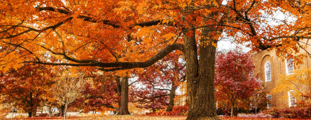 University of Maryland, College Park, Maryland, US