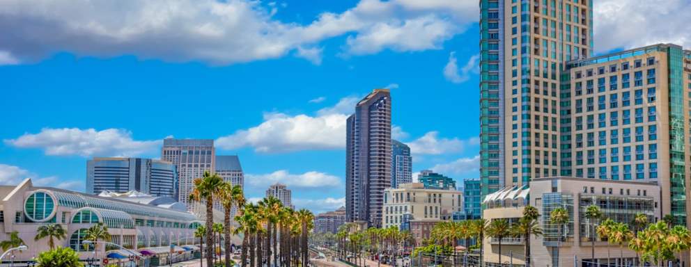 Major usa city; safe harbor; elevated view; elevated view; city life; late afternoon light; peaceful mood
