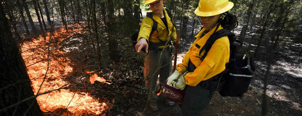 Students with the AAMU FireDawgs program participate in a controlled burn.