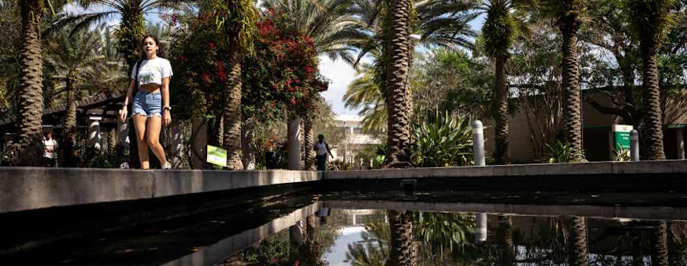 Students walking to class on the University of South Florida campus in Tampa.